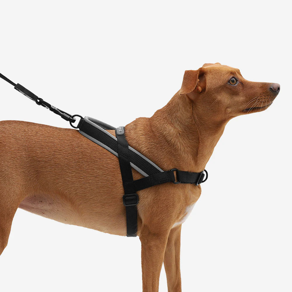 Arnés Anti-Tirones Gotham - Softer Walk Harness para Perros | Zee.Dog