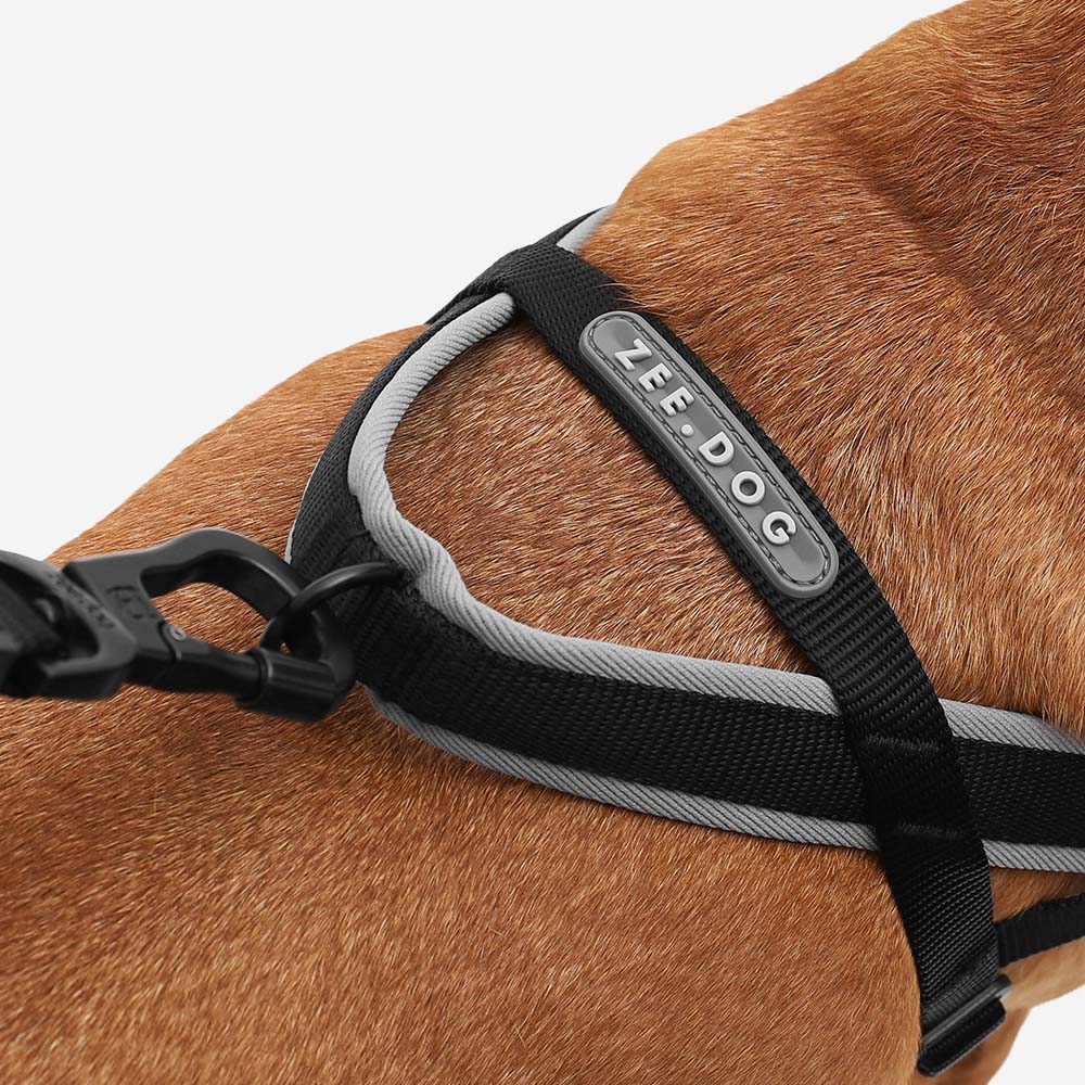 Arnés Anti-Tirones Gotham - Softer Walk Harness para Perros | Zee.Dog