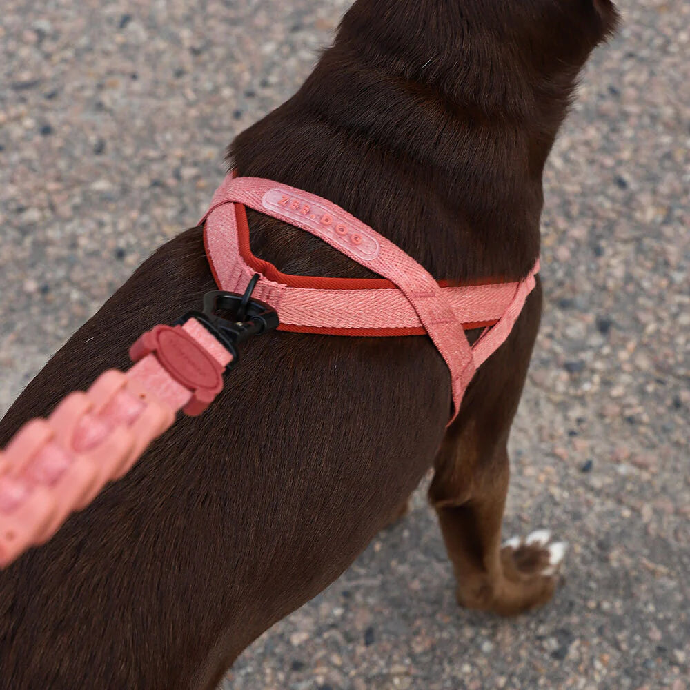 Arnes para Perros Canyon Softer Walk Harness Zee.Dog