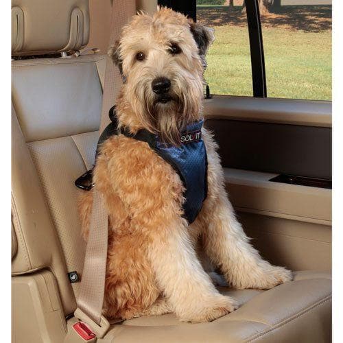 Con el arnés de seguridad coche podrás sujetar a tu perro