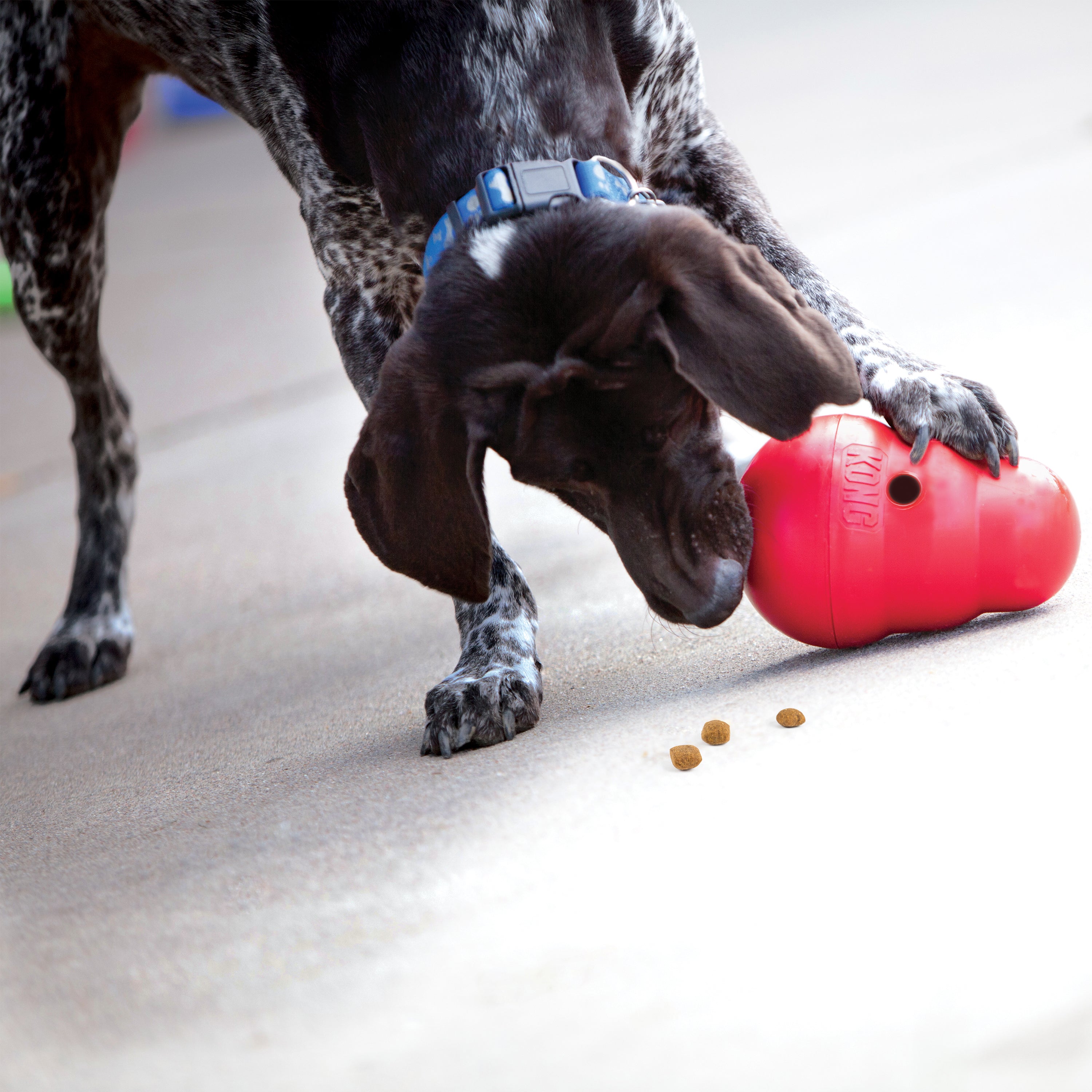 KONG WOBBLER - Juguete dispensador de alimento y premios para perros