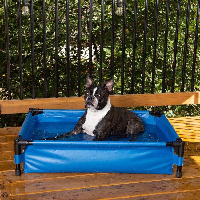 Piscina para perros perfecta para soportar la ola de calor: ahora