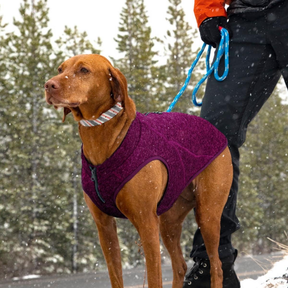 Suéter para Perro de Punto Polar Naranja de Kurgo