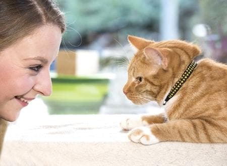 Collar de Seguridad Para Gatos - Kitty Breakaway Collar Red Tartan