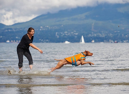 Chaleco Salvavidas Para Perros - Tidal Life Vest de RC Pets