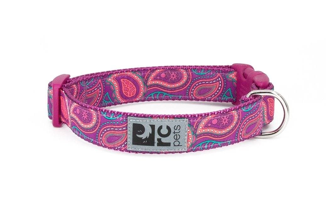 Clip Collar Modelo Bright Paisley - Collar para Perros Bright Paisley