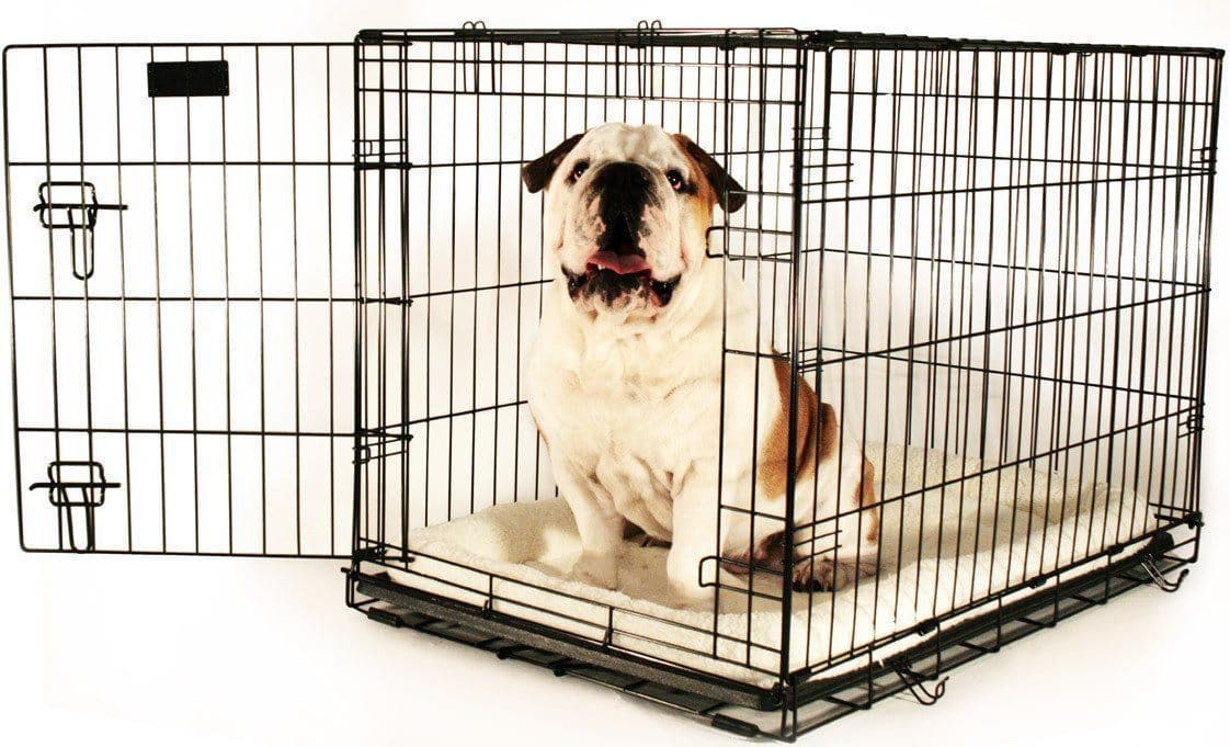 Jaulas para Perros Para Entrenamiento de Perros - Dog Crate — La Tienda de  Frida & Chelsee