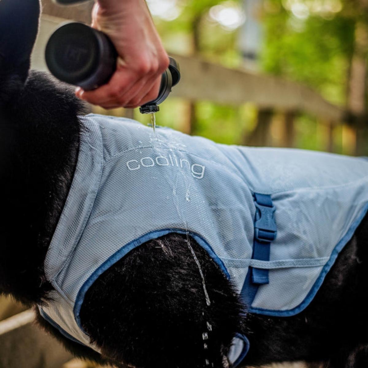 Chaleco de Enfriamiento Dog Core Cooling Vest de Kurgo