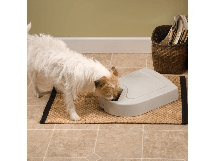 5-Meal Automatic Pet Feeder - Alimentador Automático para Perro