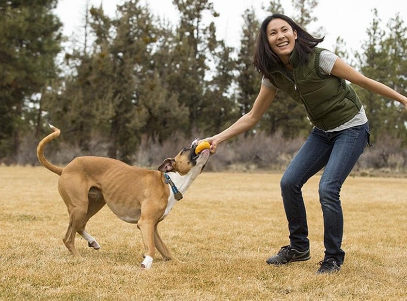 Huckama® Juguete Pelota para perros para Aventar en Amarillo - de Ruffwear®