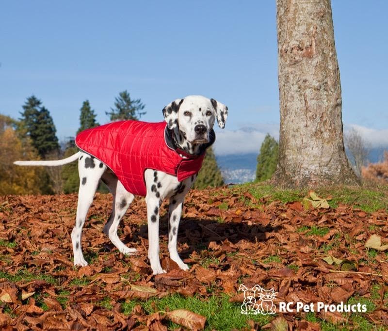 Chamarra para Perros Puff Doble Vista Azul Intenso/Azul Cyan - RC