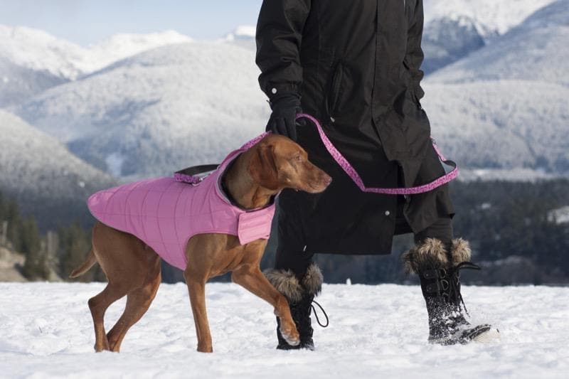 Chamarra para Perros Puff Doble Vista Azul Intenso/Azul Cyan - RC