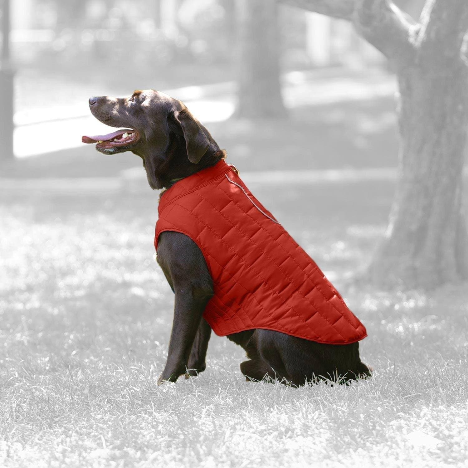 Chamarra Reversible Impermeable para Perro Floral / Magenta
