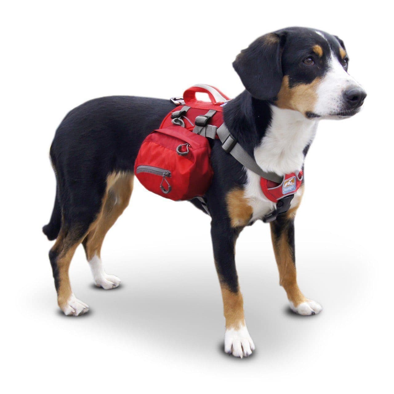 Arnes Para Perros Arnés Kurgo Cascade Con Mochila ¡Aventuras Con