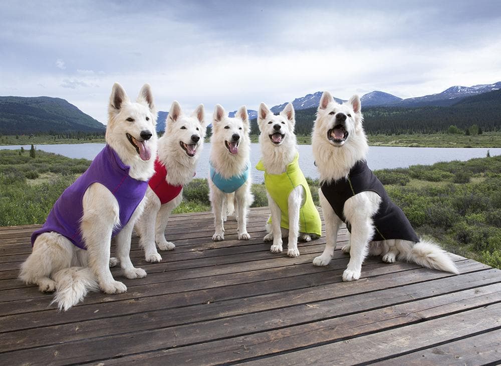 Suéter Polar de Felpa Ligero en color Negro