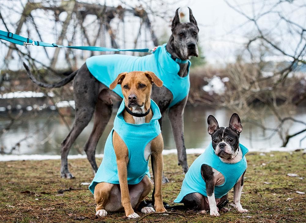 Suéter Polar de Felpa Ligero en color Negro