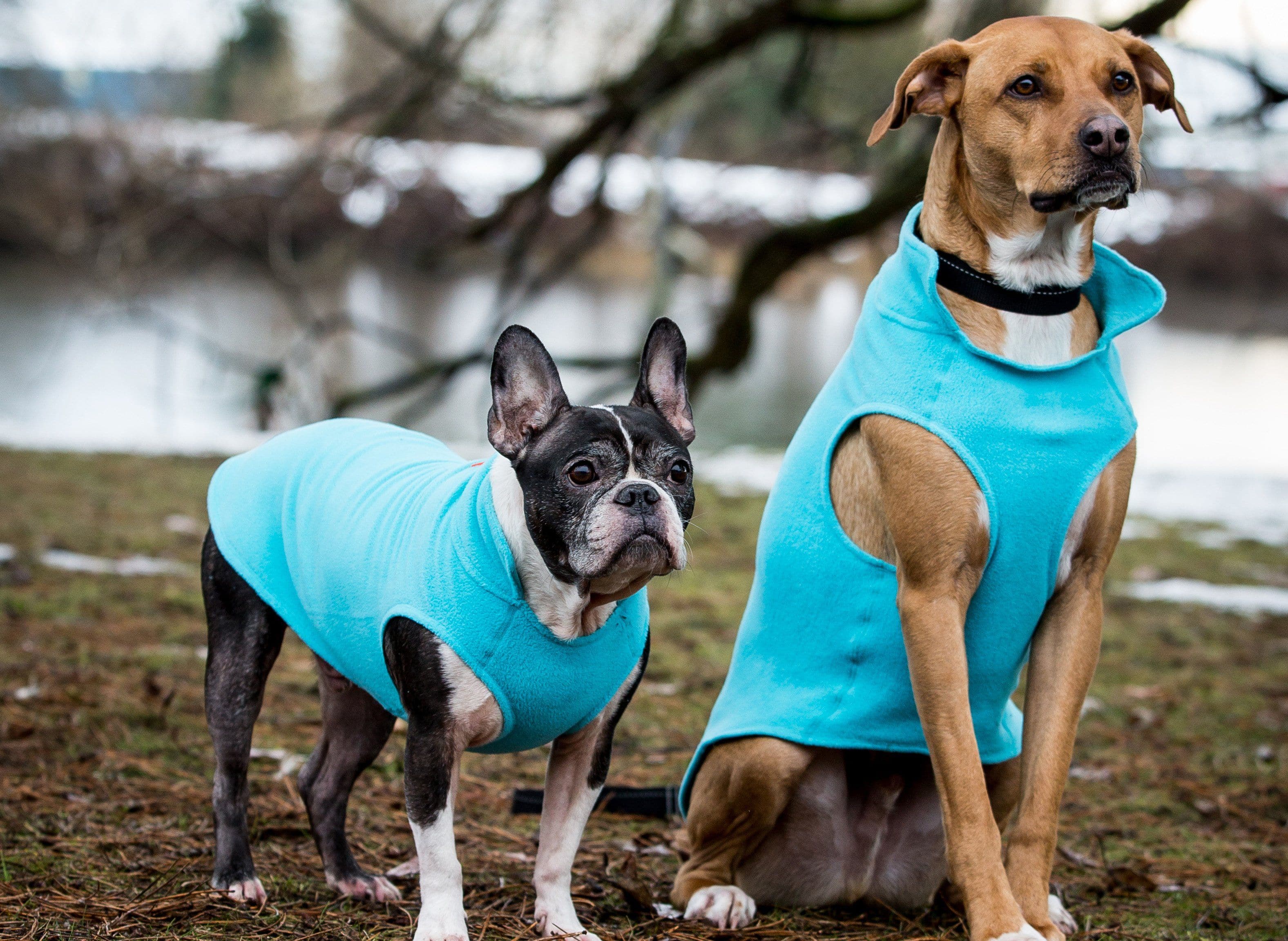 Suéter Polar de Felpa Ligero en color Negro