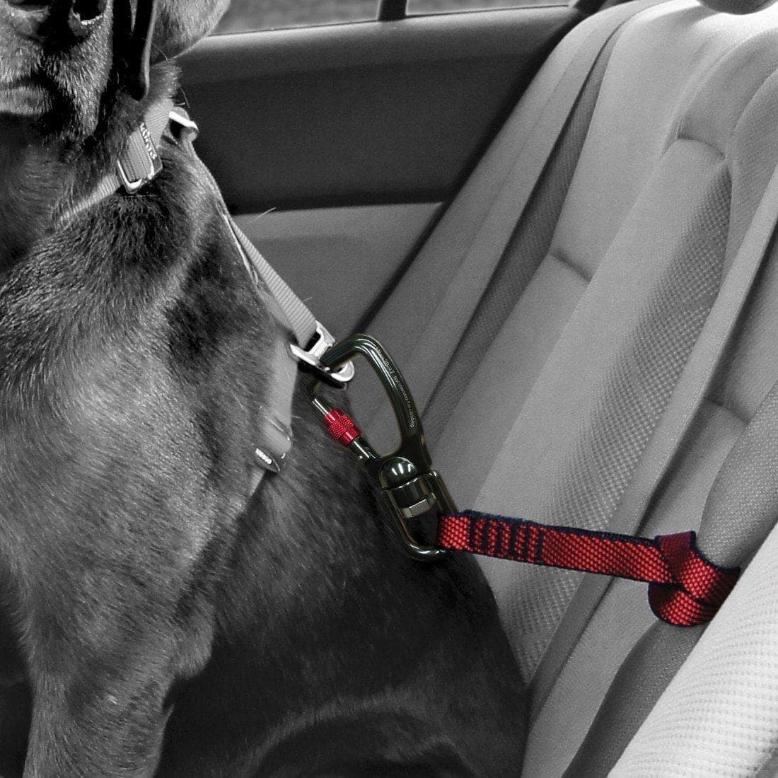 Cinturón (Giratorio) Seguridad Para Perros para el Carro - Kurgo® Swivel Tether