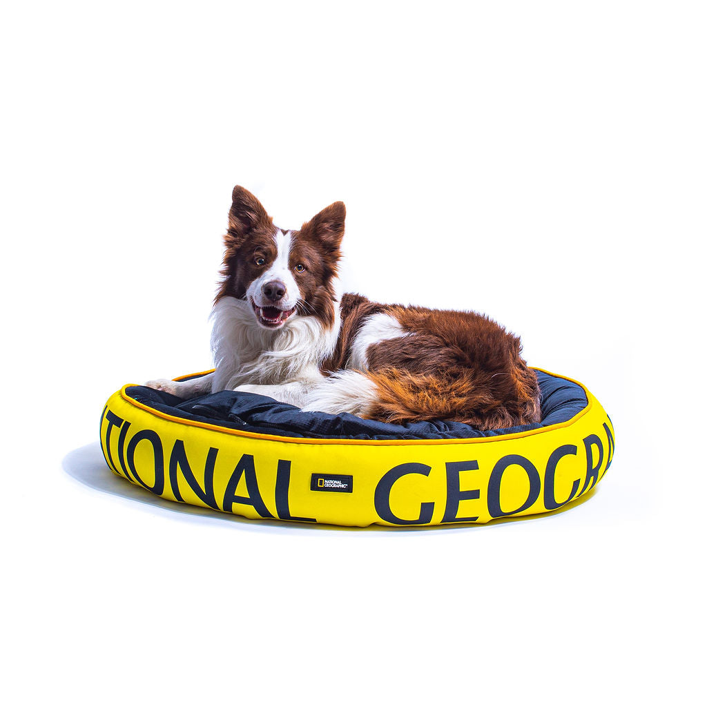 Cama para Perros de National Geographic Estilo Apolo Amarilla