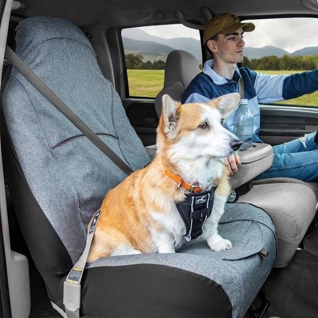 CoPilot Seat Cover - Cubre Asientos Delantero en Gris de Kurgo®