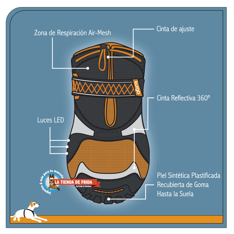 Step n 2025 strobe dog shoes