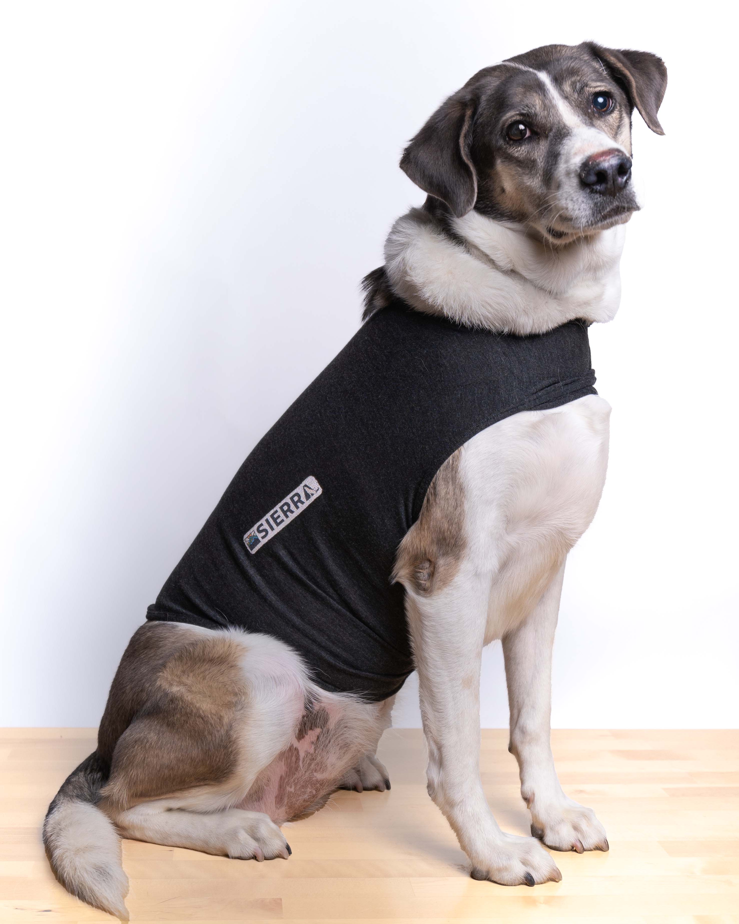 Chaleco Antiestrés para Perros Calma la Ansiedad en Perros - Sierra Dog Calm Coat