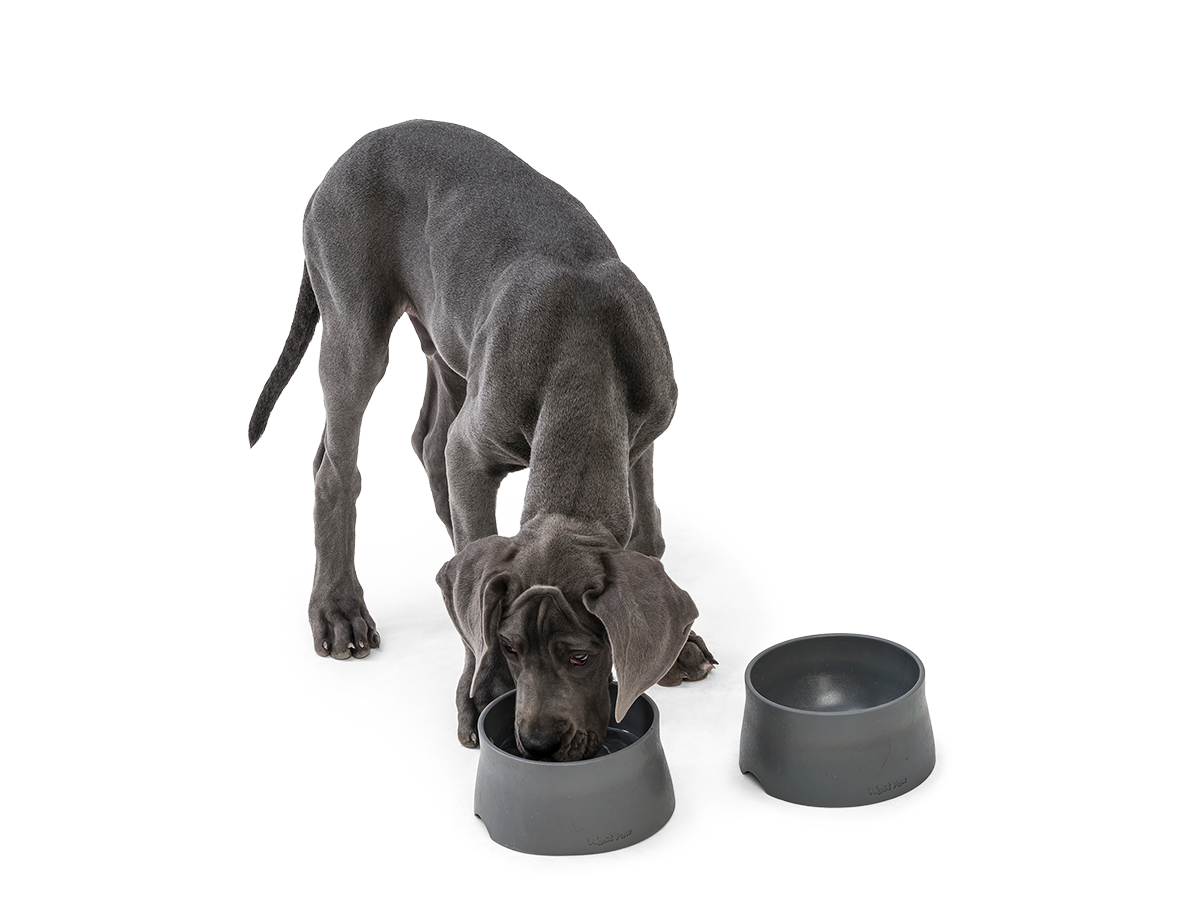Seaflex® Plato Silencioso para Perros de West Paw Design® en Gris