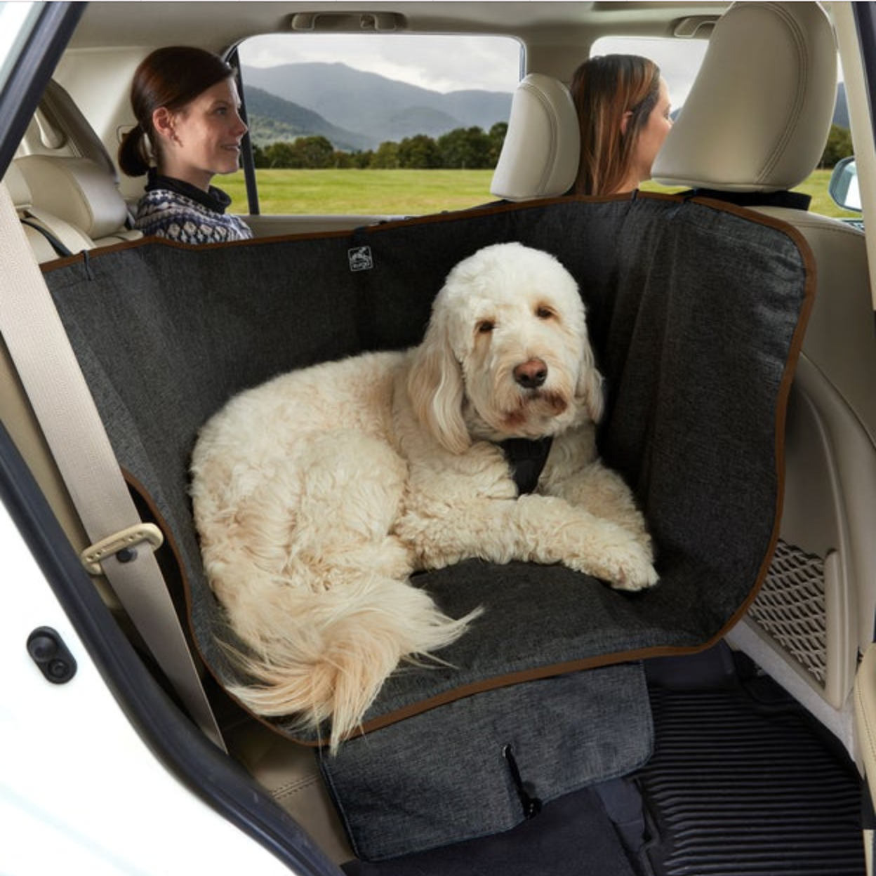 Cinturón de Loop de Seguridad Para Perros para el Carro - Kurgo® Seat — La  Tienda de Frida & Chelsee