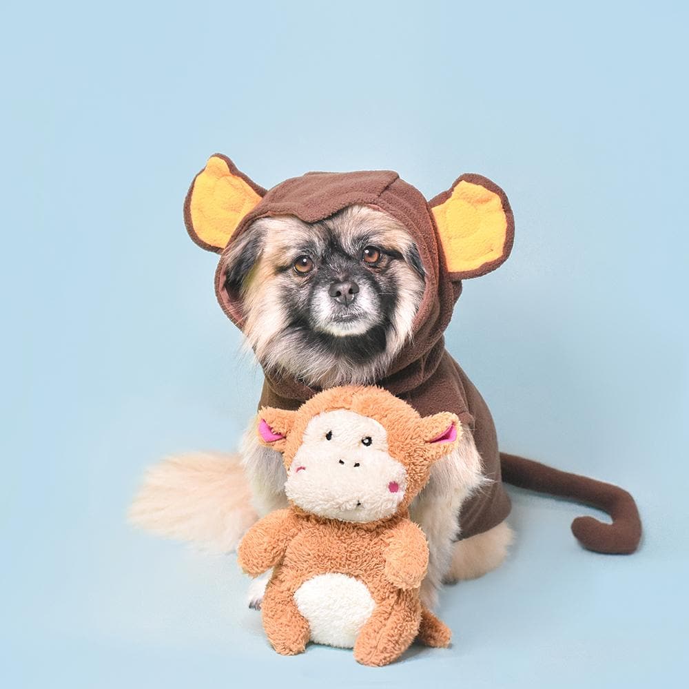 Chango con un perro peque–o disfrazado - Cheeky Chumz Monkey de ZippyPaws
