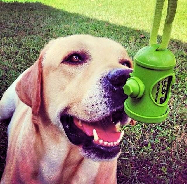 Dispensador de Bolsas en Forma de Hidrante - The Original Poop Bags Dispenser