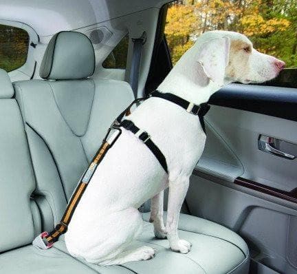 Cinturón De Seguridad p/Perros p/el auto - NARANJA Kurgo® Direct to Seat Belt