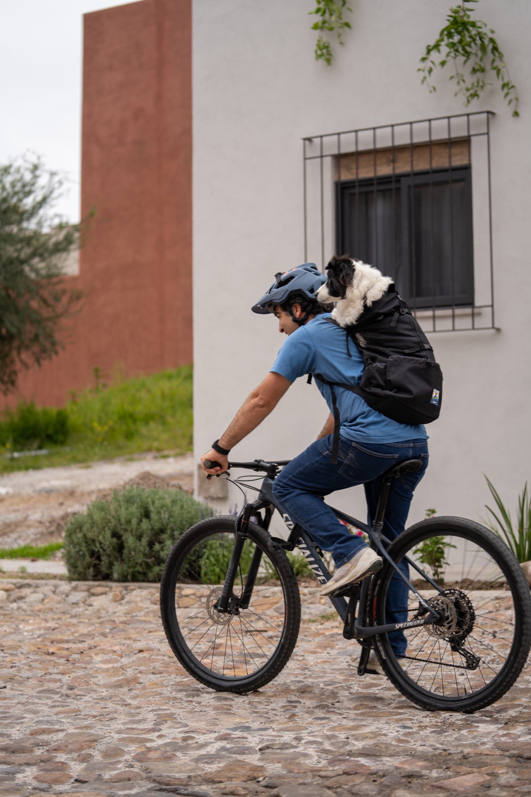 Mochila Gris Ultra Ligera en 4 Medidas para Transportar a tu Perro - Sierra Dog Pack