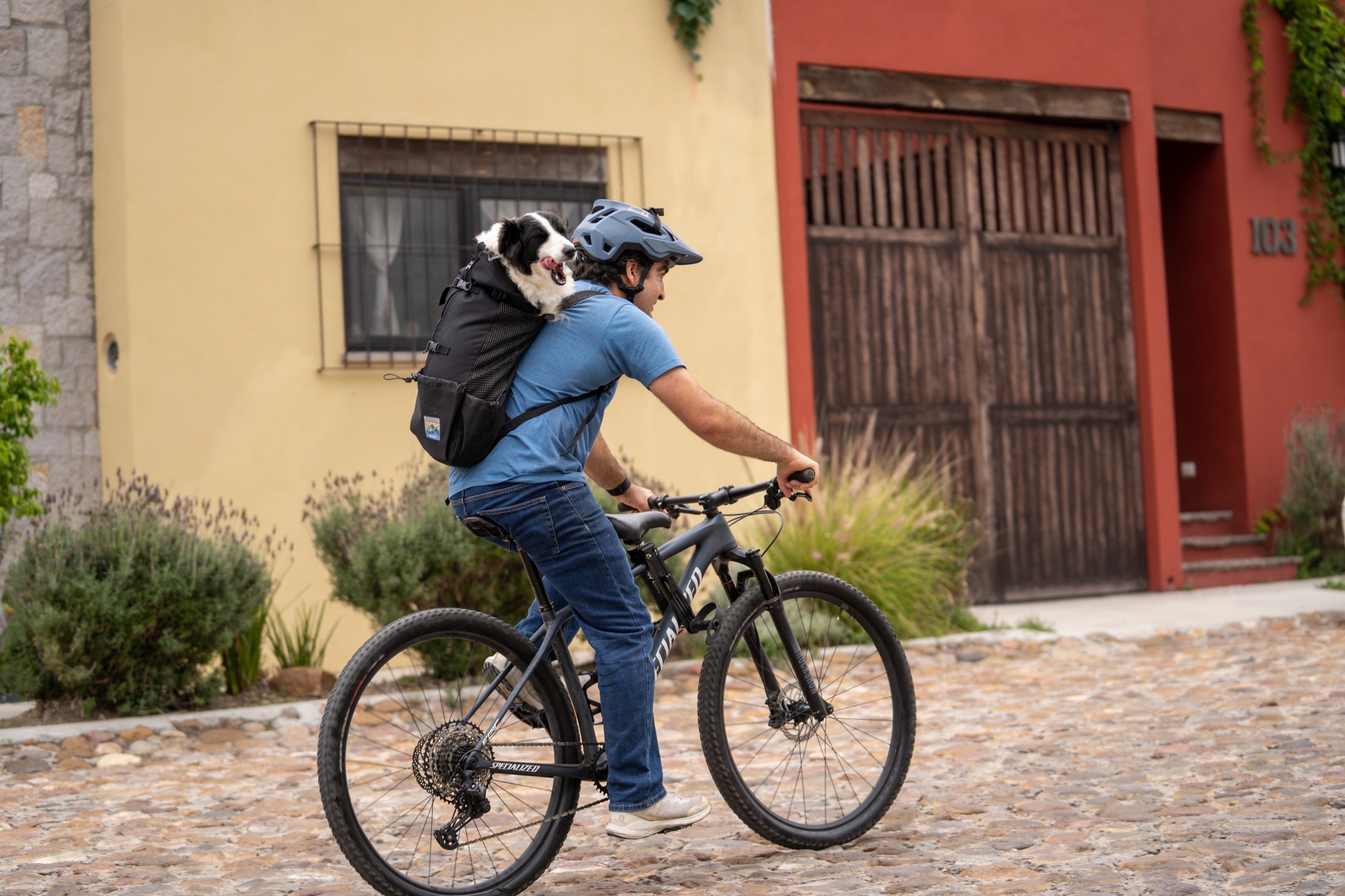 Mochila Negra Ultra Ligera en 4 Medidas para Transportar a tu Perro - Sierra Dog Pack