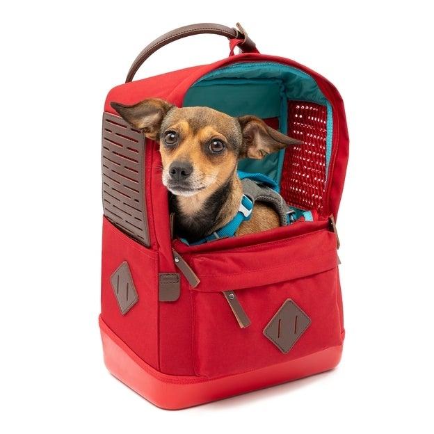 Mochila Backpack Roja para Perros y Gatos de hasta kg Nomad