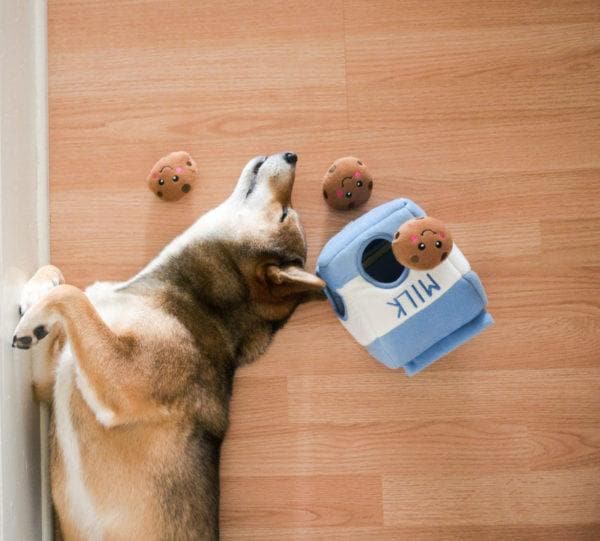 La caja de leche para esconder galletas es ideal para todo tipo de perro.