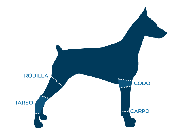 Coderas para Perros - Protector de Codo para Perros