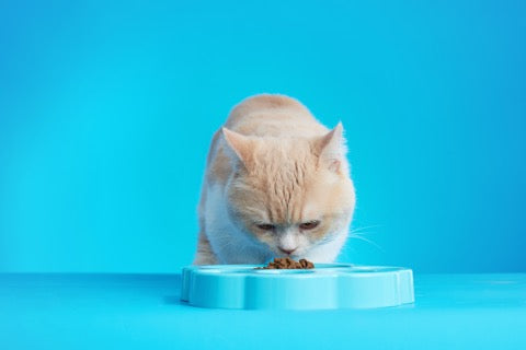 MINI 2-en-1 Plato para Comer Lento y Lick Mat en Azul de PetDreamHouse