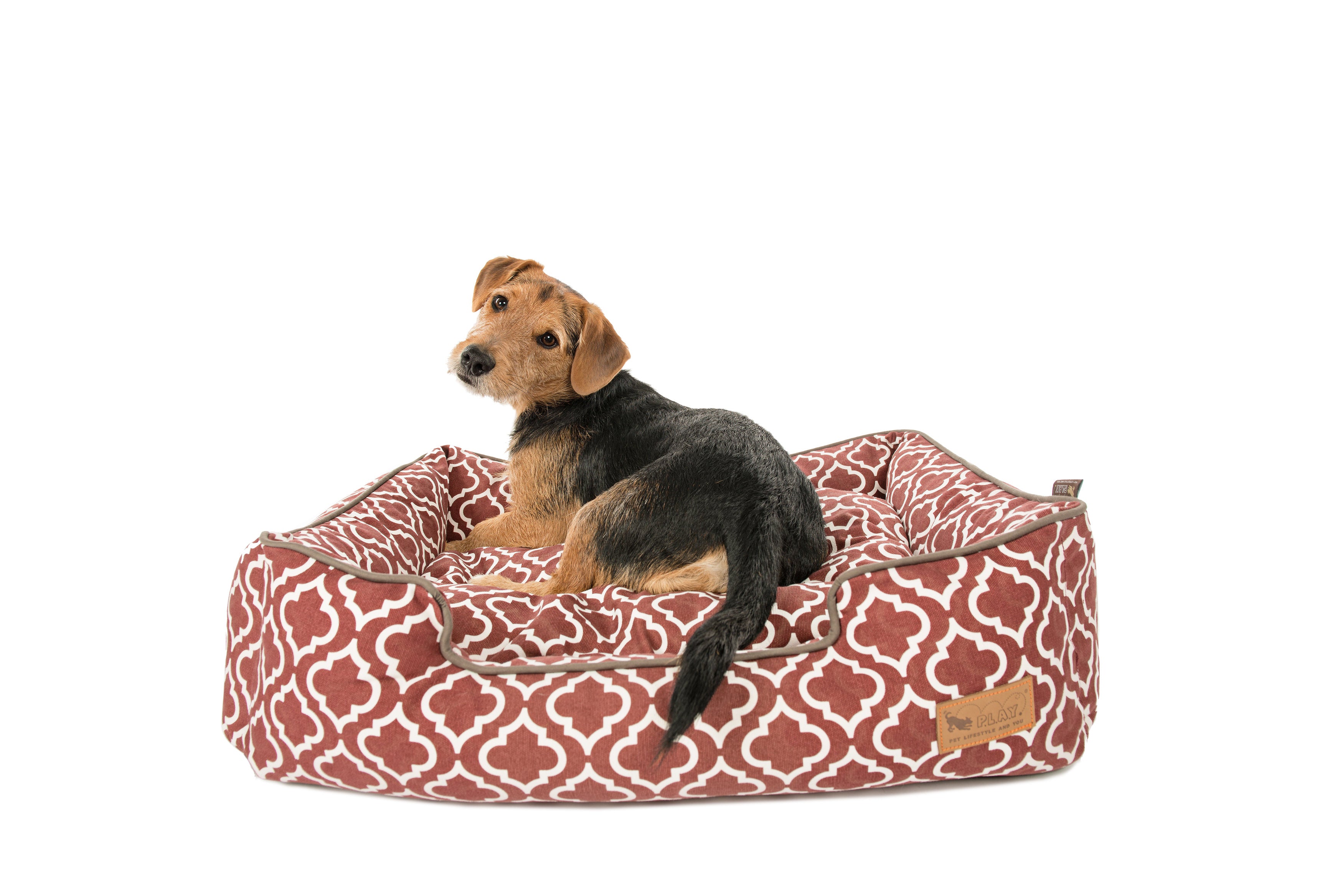 Cama Para Perros Moroccan Lounge Bed Marsala de Pet — La