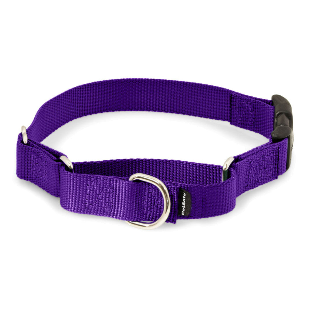 Martingale Premier Collar con Hebilla de Liberación color Purpura