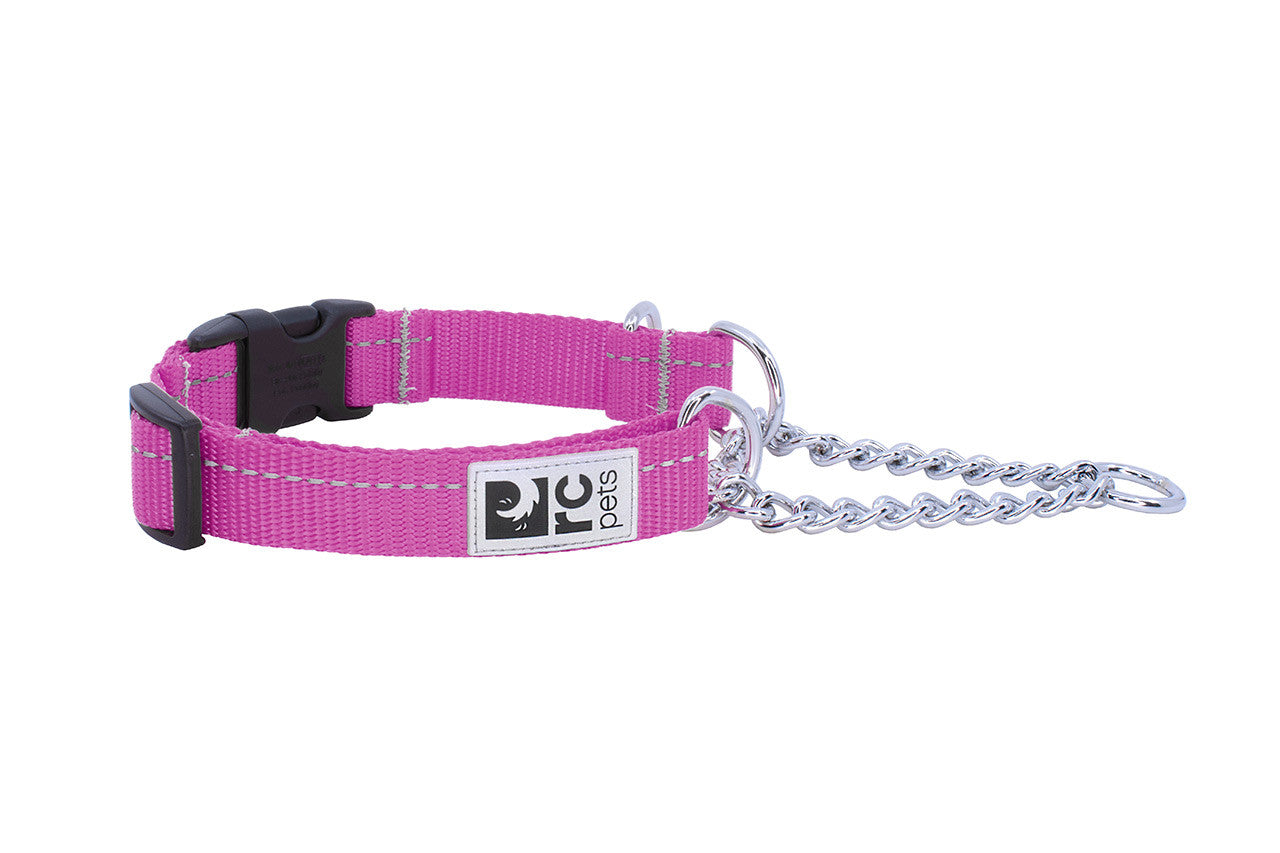 Primary Training Clip Collar Arándano c/Reflejante para Perros de RC Pets