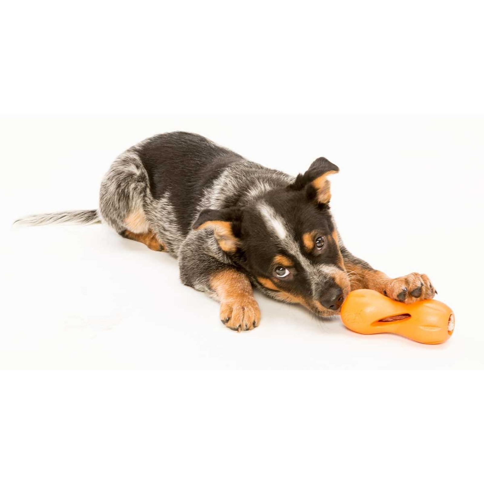 QWIZL de West Paw® color Naranja - Juguete Dispensador de Premios para Perros