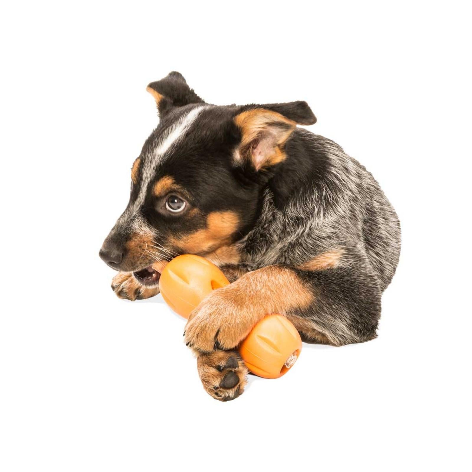 QWIZL de West Paw® color Naranja - Juguete Dispensador de Premios para Perros