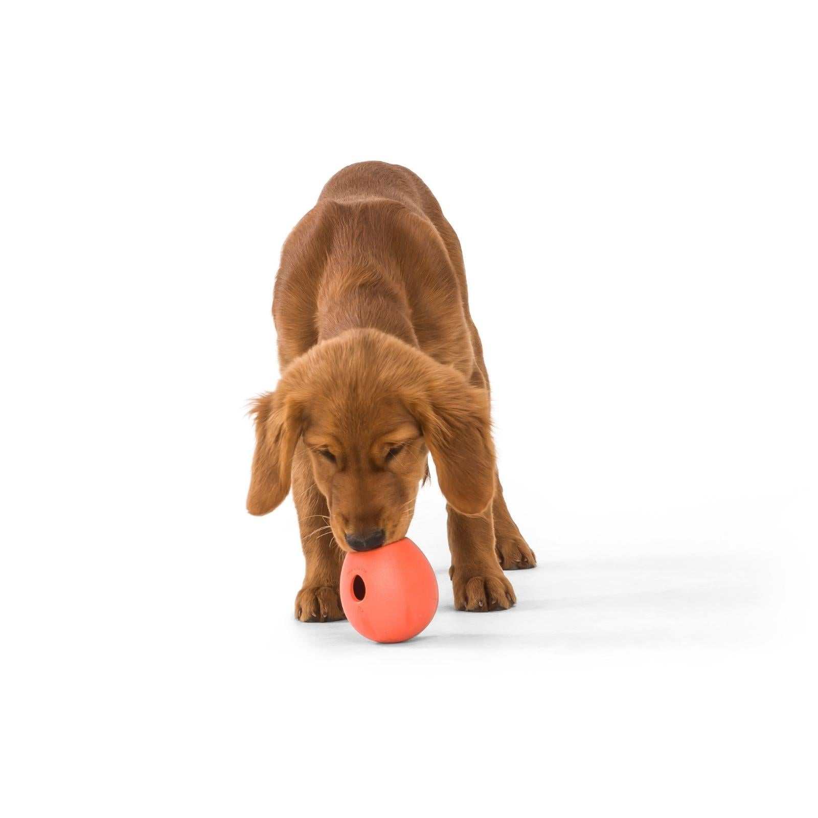 RUMBL de West Paw® color Naranja - Juguete Dispensador de Premios y Croquetas para Perros