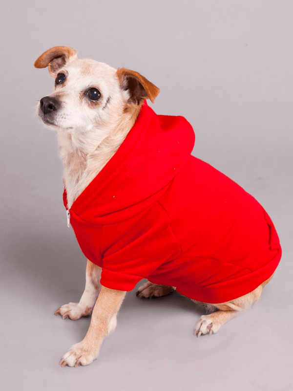 Hoodie Para Perro en Color Rojo Vivo