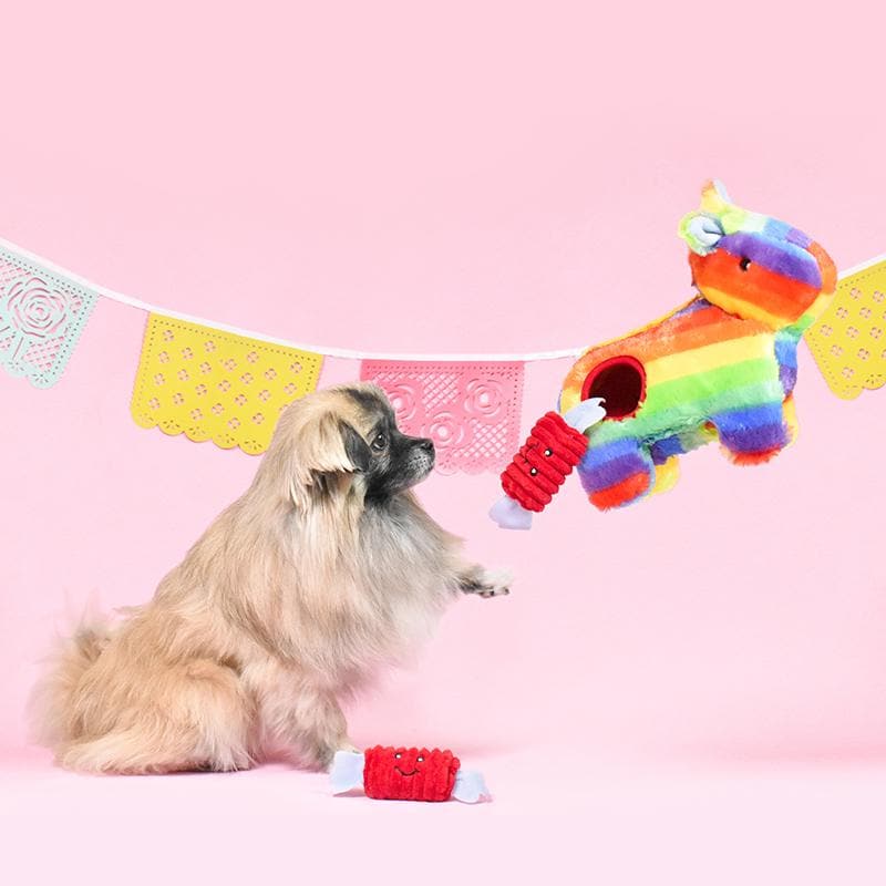 Festeja el cumplea–os de tu perro con este peluche de pi–ata con dulces