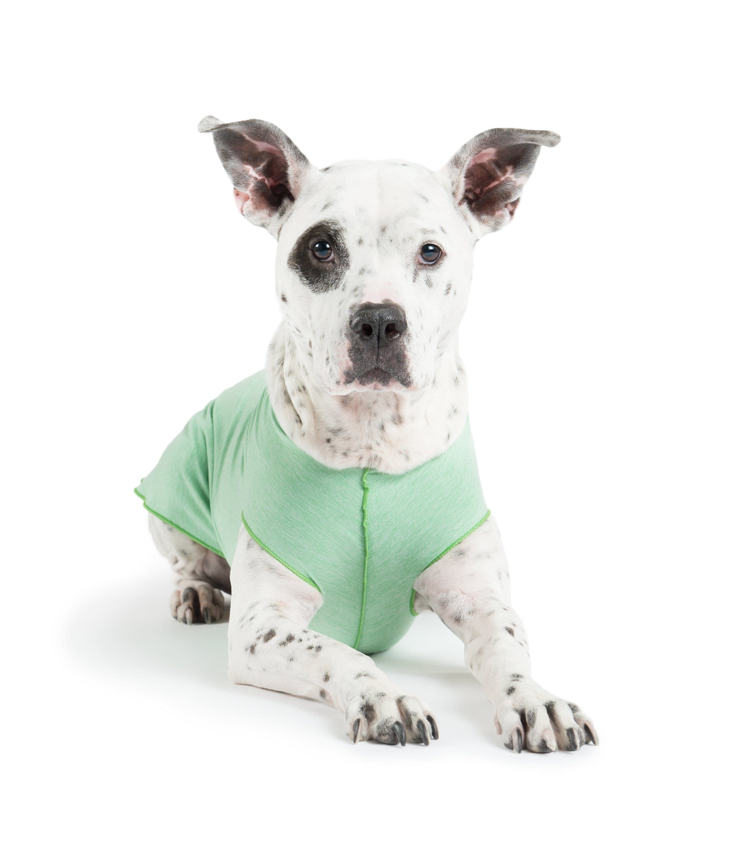 Camiseta Protectora Para Perros Sun Shield - Verde Pistacho