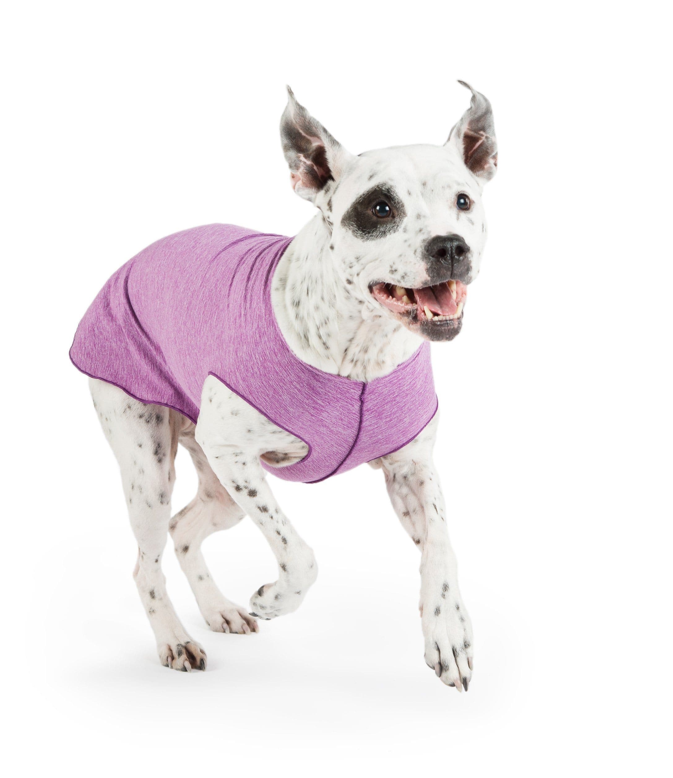 Camiseta Protectora Para Perros Sun Shield - Púrpura