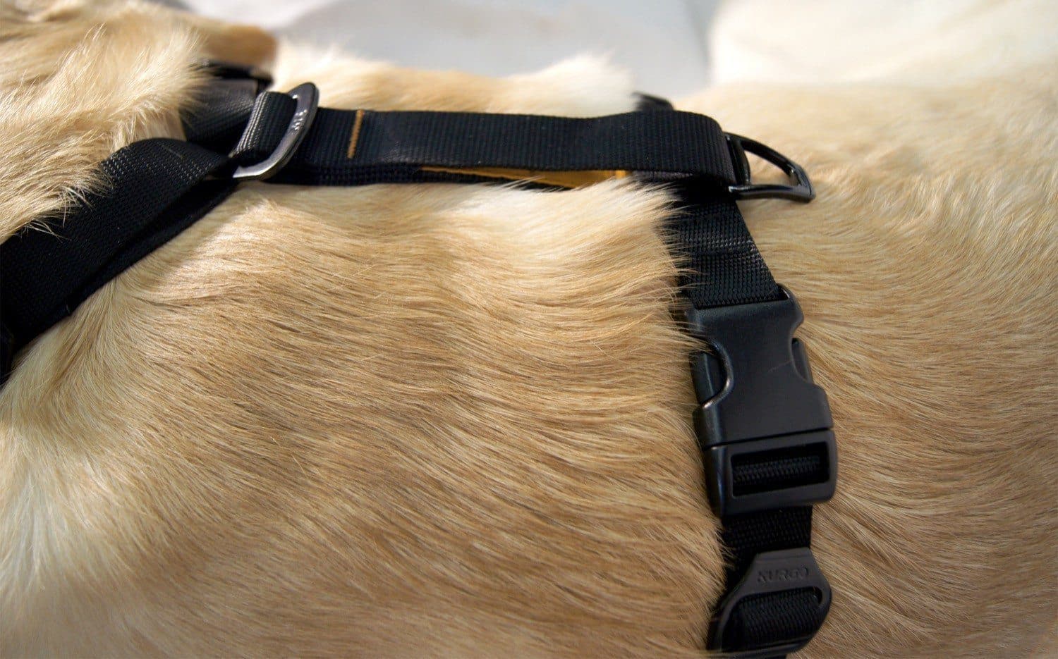 Pechera Negra para Perros para Que Viaje Seguro - Tru-Fit Smart Harness de Kurgo