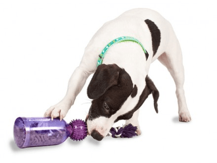 Busy Buddy® Tug-A-Jug™ - Juguete Interactivo para Perros