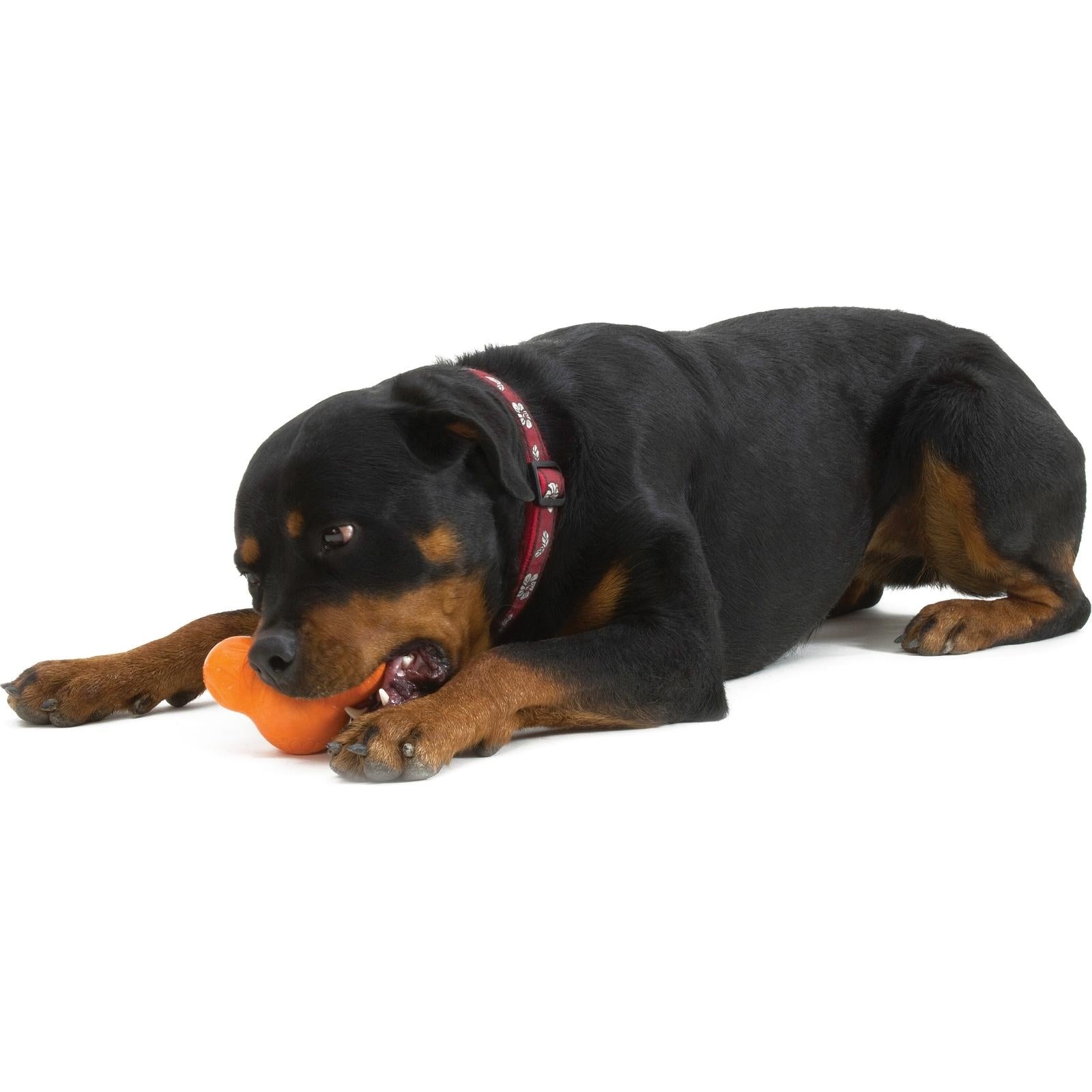 TUX de West Paw® color Naranja - Juguete Dispensador de Premios para Perros